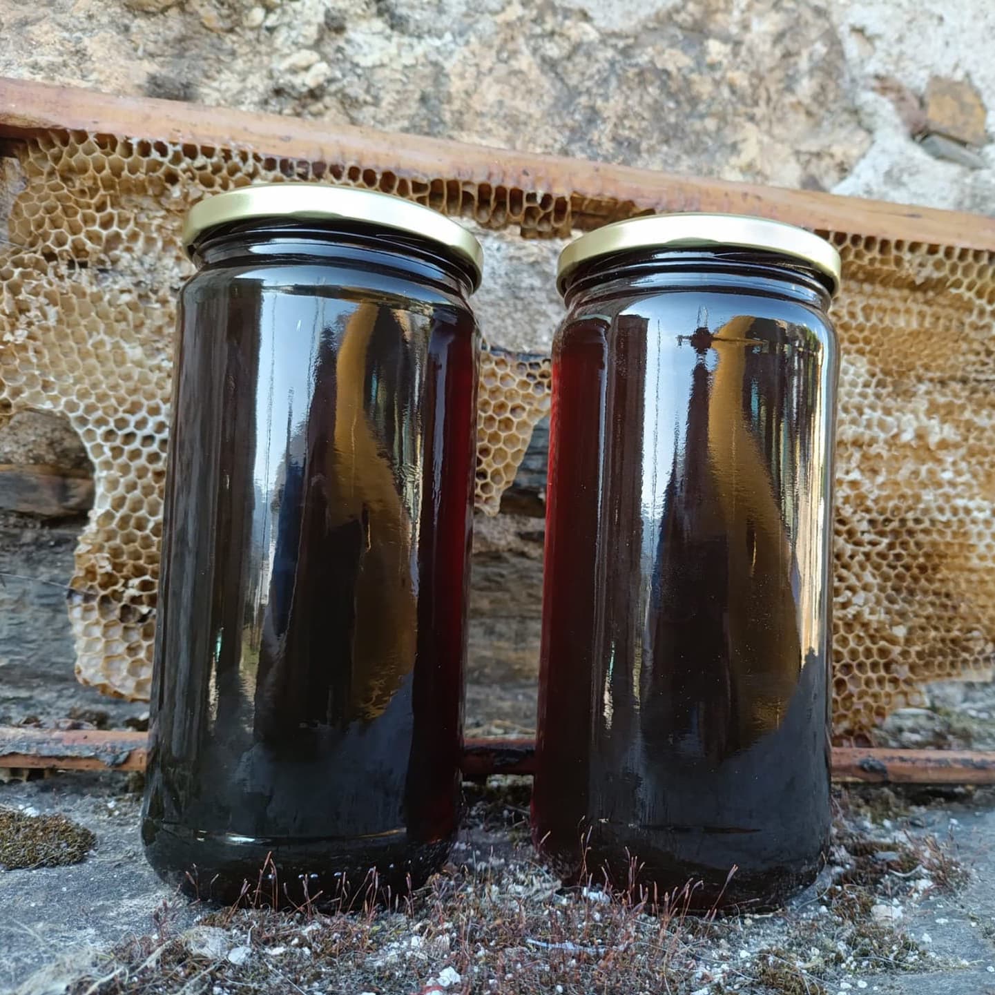 Miel cruda de montaña en Galicia