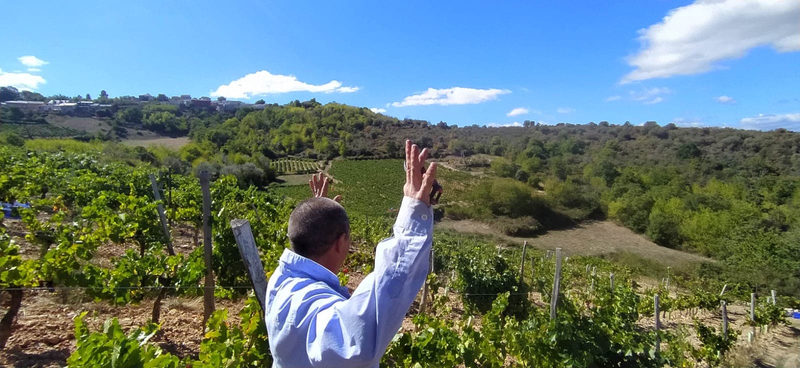 Apicultura, viticultura y huerta en Galicia